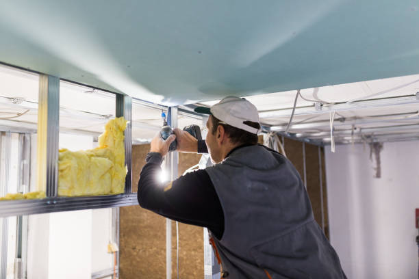 Best Insulation Installation Services in Tigerville, SC